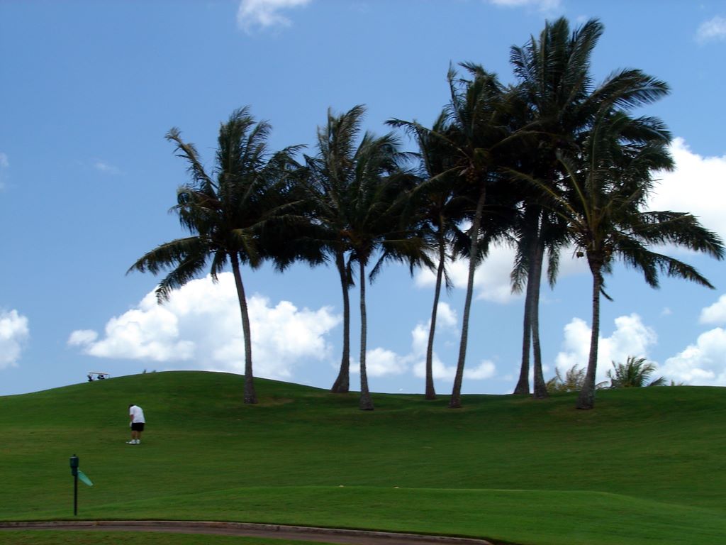 kamehameha_113.jpg (large)