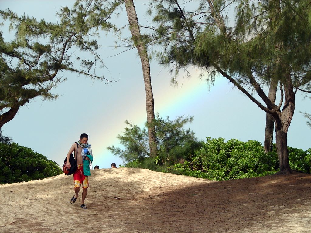 hawaii_119.jpg (large)