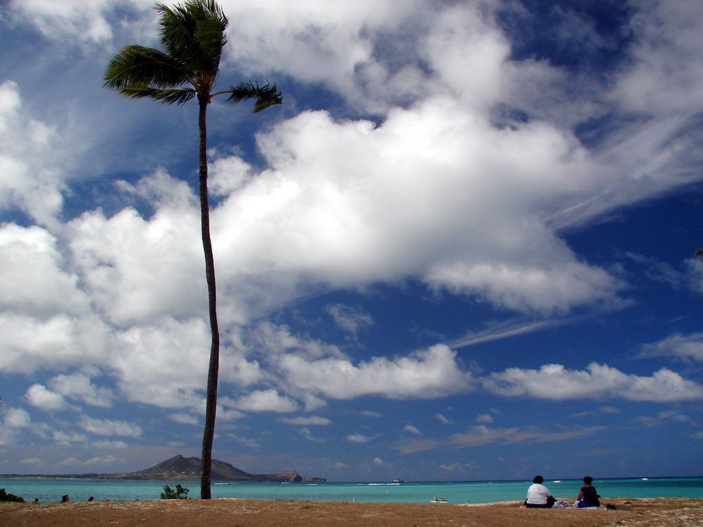 kailua_beach_61.jpg (large)