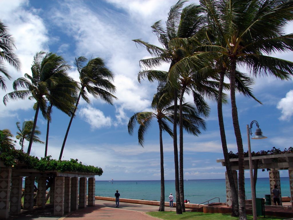 kakaako_park_4.jpg (large)