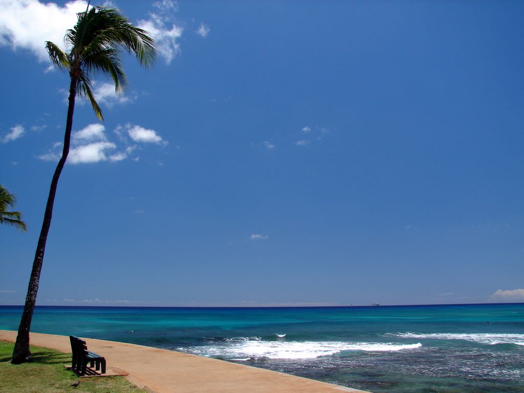 magic_island_9.jpg (large)