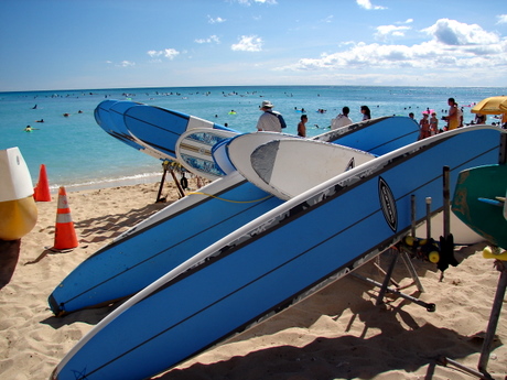 Rent a surf board