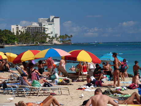 Wikiki Beach umbrellas