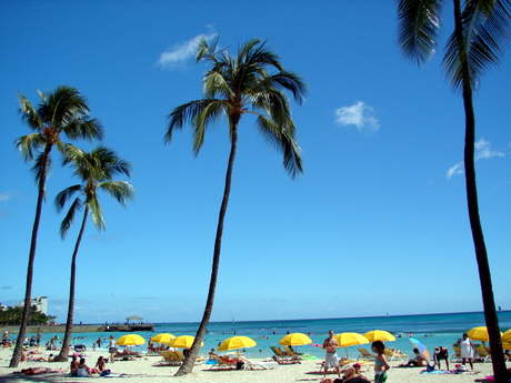 Waikiki Beach