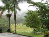 Rain Forest Golf Driving Range
