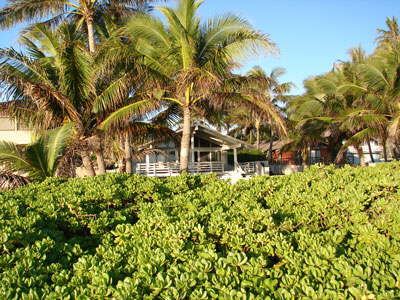 Hawaii Oceanfront Property