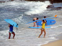 Surfs Up