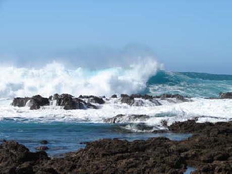 North Shore Surf