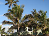 Hawaii beachfront Home for Sale