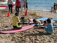 Waikiki Beach Surf Lessons