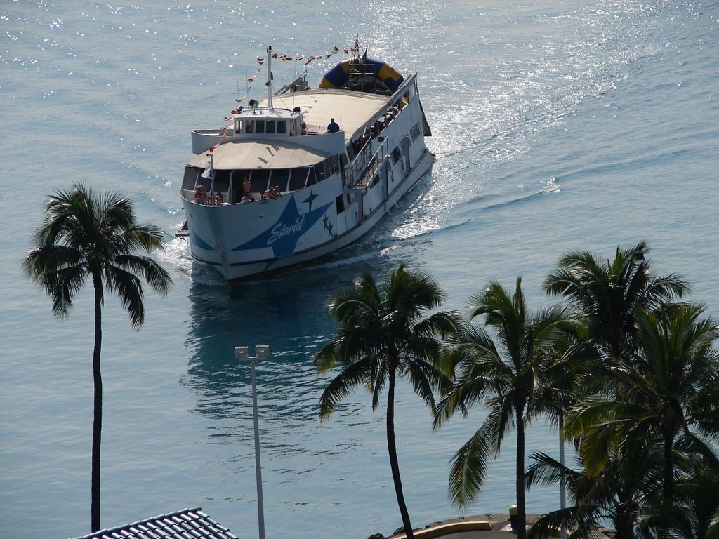 cybershot3_024.jpg (large)