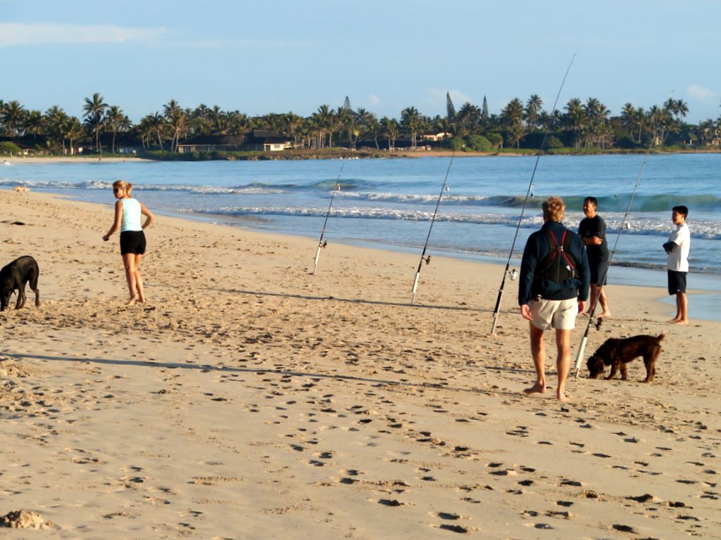 kailua_beach_010.jpg (large)